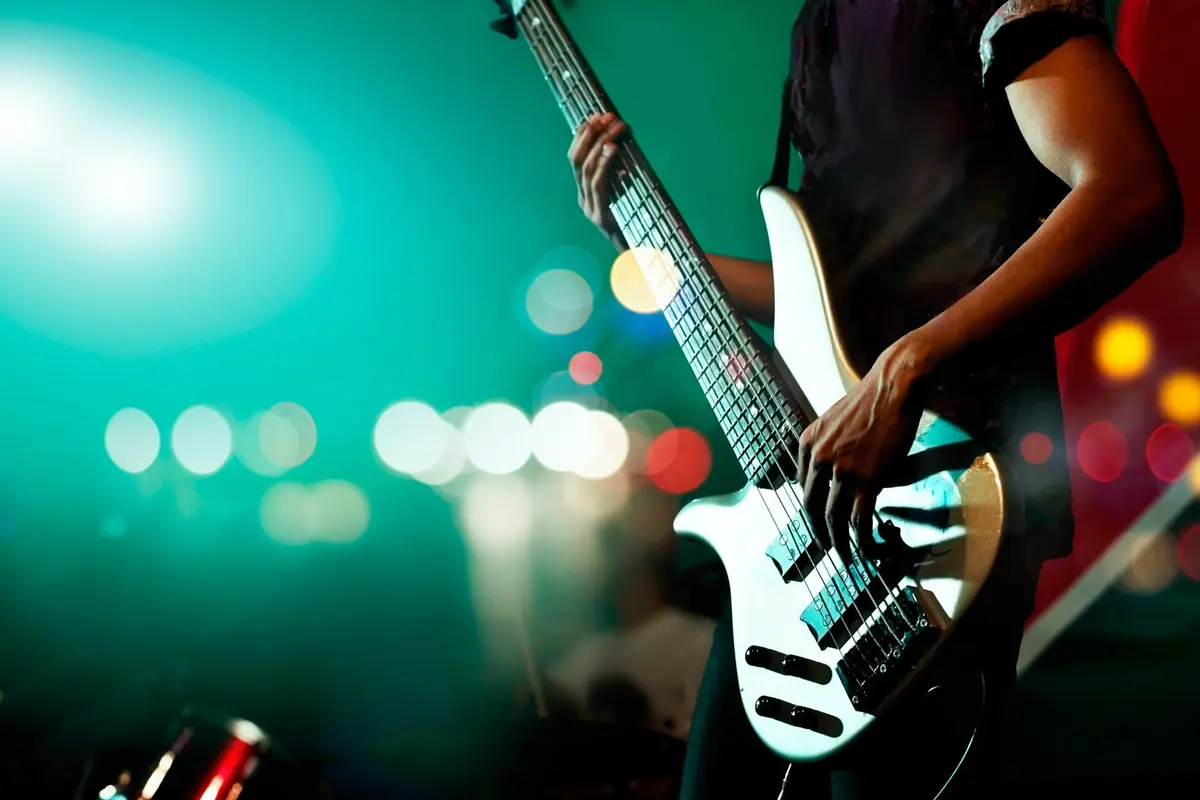 Fest 333