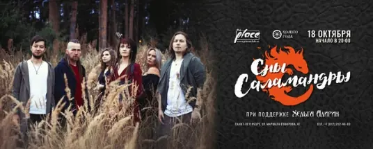 Концерт группы «Сны Саламандры»